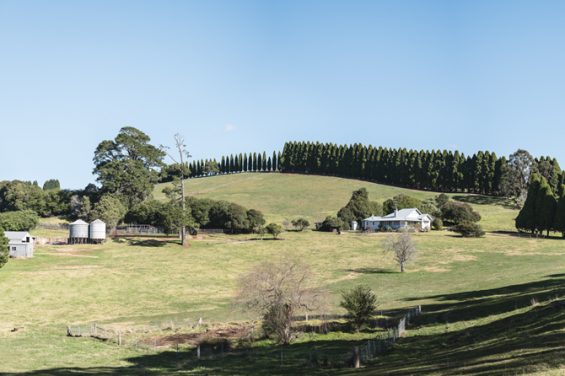 Featured image for “Christmas Ham in the Southern Highlands: Where to buy”