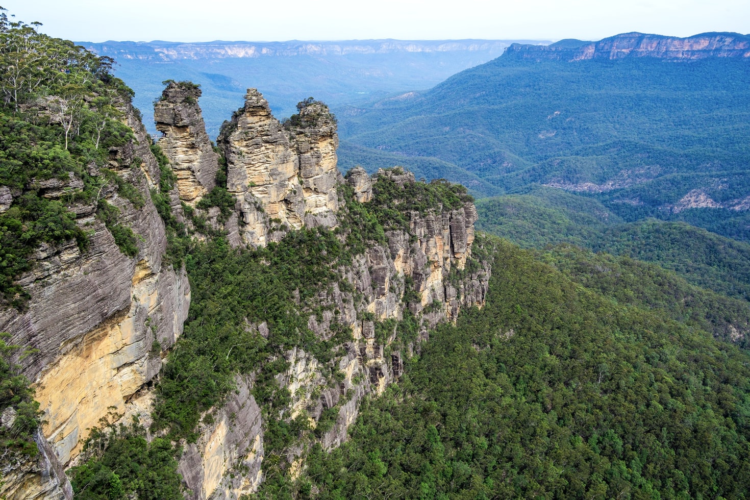 Christmas ham in the Blue Mountains